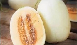 小朋友吃甜瓜怎么挑瓜,小朋友挑瓜秘籍