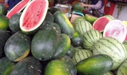 吃瓜中国爆料,热点事件背后的真相与反思