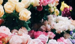 吃瓜凹糟,揭秘娱乐圈的甜蜜与苦涩