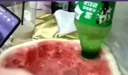 室友吃瓜搞笑,笑料连连揭秘校园生活点滴