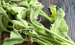 吃瓜尖过敏,常见症状与预防措施