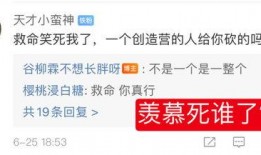 吃瓜副业,揭秘网络红人如何轻松赚取额外收入