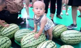 吃瓜现场操,揭秘“吃瓜现场”背后的娱乐真相