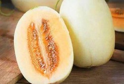 小朋友吃甜瓜怎么挑瓜,小朋友挑瓜秘籍