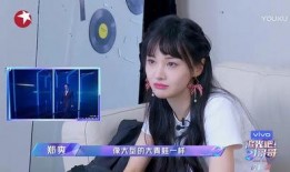 八酱视频吃瓜,揭秘娱乐圈吃瓜背后的真相