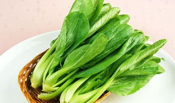 青菜茭瓜能一起吃,营养互补的绿色盛宴