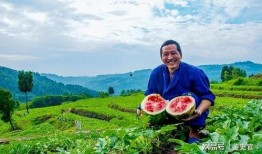 吃瓜南川,揭秘网络红人背后的故事