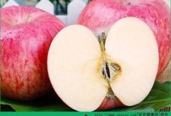 晚上吃苹果瓜好吗,健康美味两不误