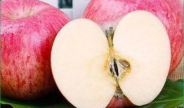 晚上吃苹果瓜好吗,健康美味两不误