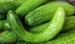 连皮一起吃的瓜,尽享瓜果美味新体验