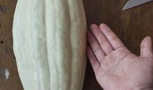 吃瓜群有毒吗,揭秘网络社交背后的暗流涌动