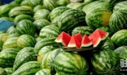 银湖吃瓜的意思,揭秘“银湖吃瓜”现象背后的网络文化现象