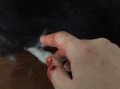 吃瓜日历3结局,结局揭秘，悬念揭晓，谁才是幕后黑手？
