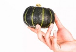 宝宝小瓜怎么吃,宝宝小瓜的多样食用攻略