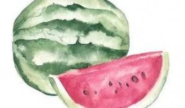 各年代吃瓜不同,不同年代吃瓜文化的变迁与魅力