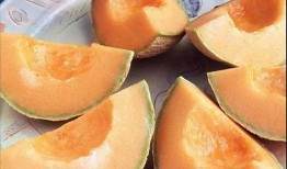 吃瓜是与生俱来的,揭秘与生俱来的好奇心