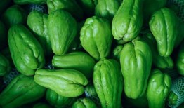 棚瓜怎么吃,探索美味与营养的完美融合