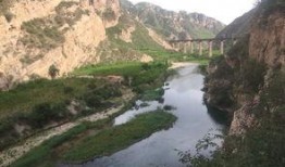 峡谷吃瓜老张头,揭秘电竞圈幕后风云