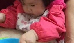 诺诺吃瓜事件,揭秘网络舆论的狂欢与反思