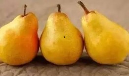 吃瓜小蜜蜜,揭秘娱乐圈那些不为人知的幕后故事