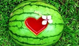 梦见有瓜吃,揭秘“梦见有瓜吃”的寓意与象征