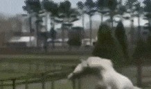 吃瓜动态 图,图解最新热点事件动态