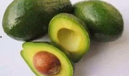 吃瓜吃多了会掉头发吗,揭秘日常饮食习惯与头发健康的关系