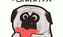 带你吃瓜奇葩图画大全,带你领略“带你吃瓜奇葩图画大全”的视觉盛宴