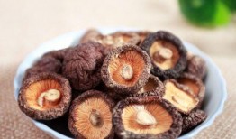 香菇方瓜能同时吃吗