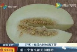 随机吃瓜的全集,揭秘娱乐圈的幕后故事