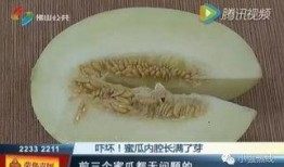 随机吃瓜的全集,揭秘娱乐圈的幕后故事