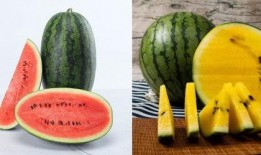 6.10吃瓜事件,揭秘网络舆论的风云变幻