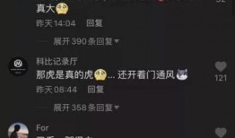 厦门直播吃瓜事件,一场网络直播的争议与反思