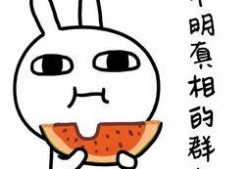 吃瓜群众嘉宾,娱乐圈幕后故事大曝光