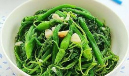 蕃瓜花怎么吃,从家常到创意料理