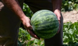 很会吃瓜的人,揭秘娱乐圈那些事儿