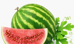 糖豆人吃瓜动作,笑料横飞！