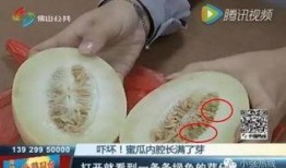 随机吃瓜的全集,揭秘娱乐圈的幕后故事
