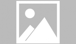 青菜茭瓜能一起吃,营养互补的绿色盛宴