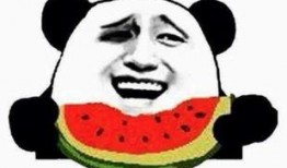 一个单眼皮的纯吃瓜群众,单眼皮吃瓜群众眼中的世界百态