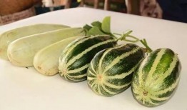 欢迎大家来摘瓜吃瓜