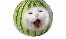 小孩削水果吃瓜