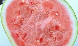 合肥赛博吃瓜,一场吃瓜群众的狂欢盛宴