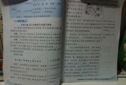 吃瓜情景短文,吃瓜群众视角下的娱乐圈风云