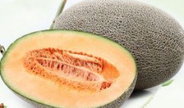 吃哈密瓜白色肉怎么说,口感独特的美味探索