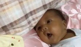 崽崽bby吃瓜,揭秘娱乐圈最新热点事件