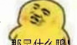 吃瓜的表情 韩国,揭秘韩流文化新现象