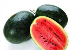 可以吃瓜的名字,探寻那些令人垂涎欲滴的美食传奇