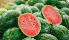 韩国回基吃瓜,揭秘幕后故事与热点事件