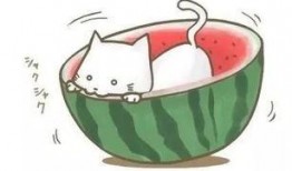 光遇鹿吃瓜,探寻神秘森林的奇幻之旅